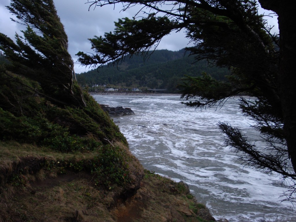 Figure 1. Yachats State Park, where Constance is meeting Margarita.